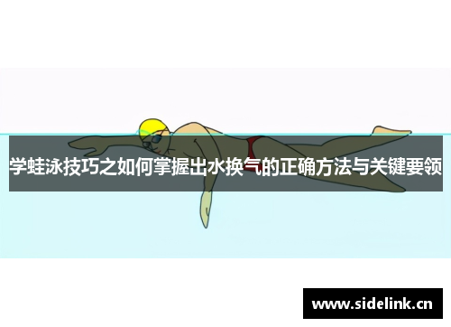 学蛙泳技巧之如何掌握出水换气的正确方法与关键要领