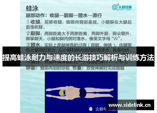 提高蛙泳耐力与速度的长游技巧解析与训练方法