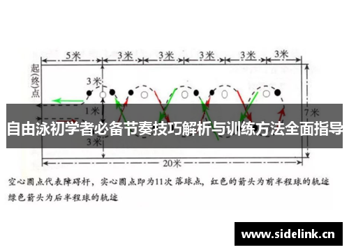 自由泳初学者必备节奏技巧解析与训练方法全面指导