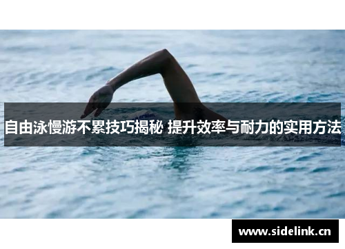 自由泳慢游不累技巧揭秘 提升效率与耐力的实用方法